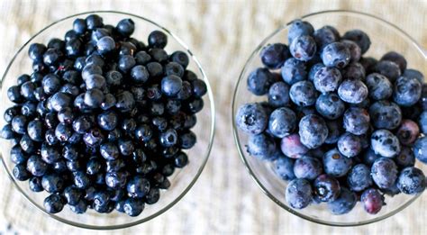 difference bleuet et myrtille